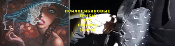 мет Белокуриха