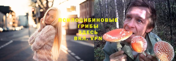мет Белокуриха